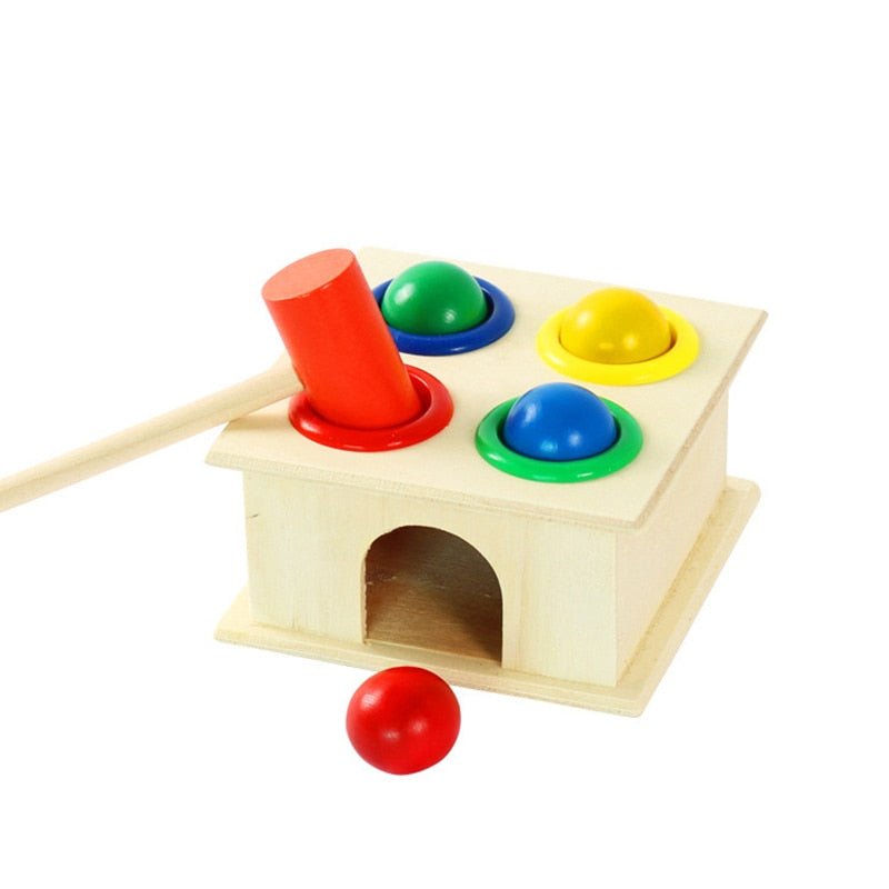 Montessori Wooden Puzzles for Kids